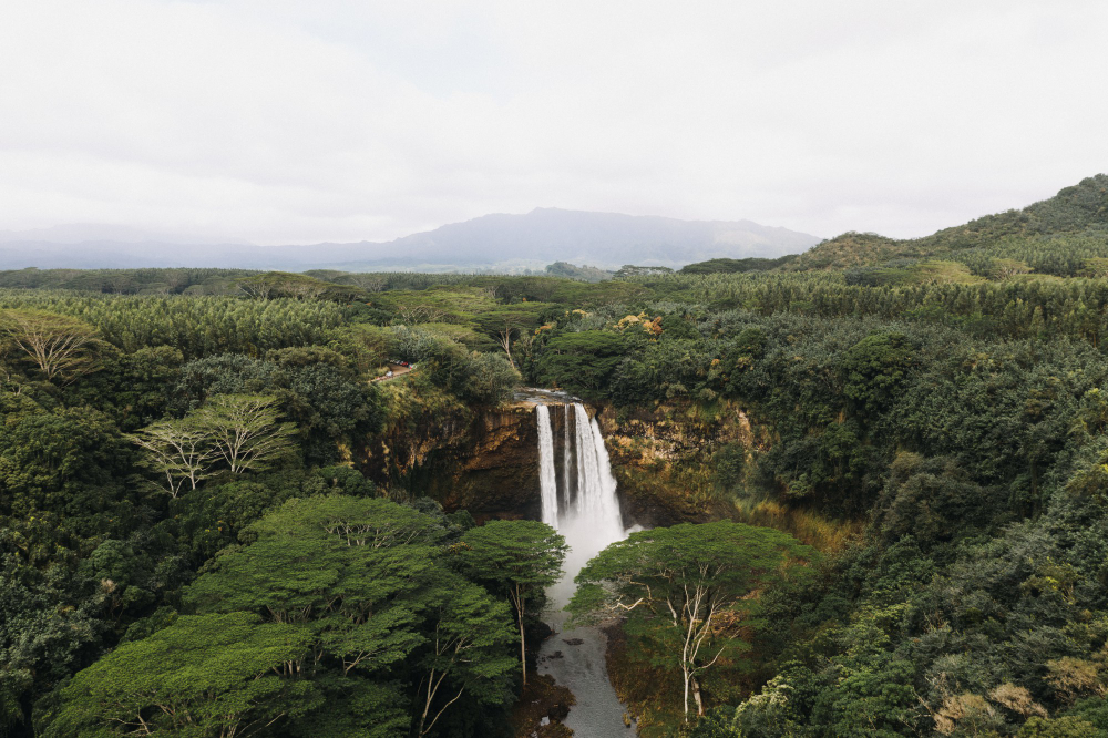 Floresta Amazônica